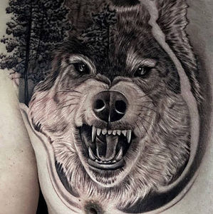 Meet your Posher, Jorge andre